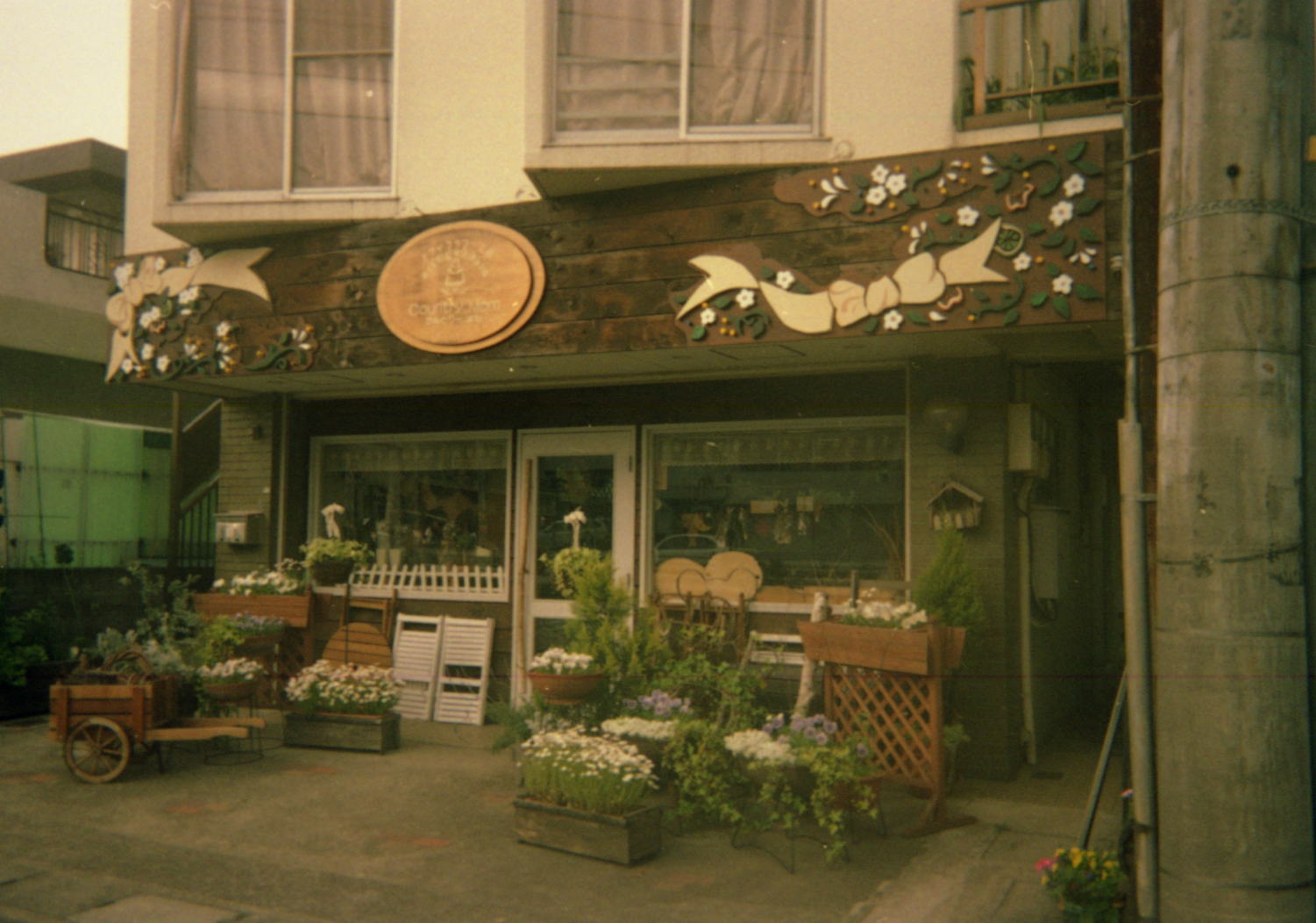 photo1