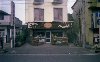 photo7