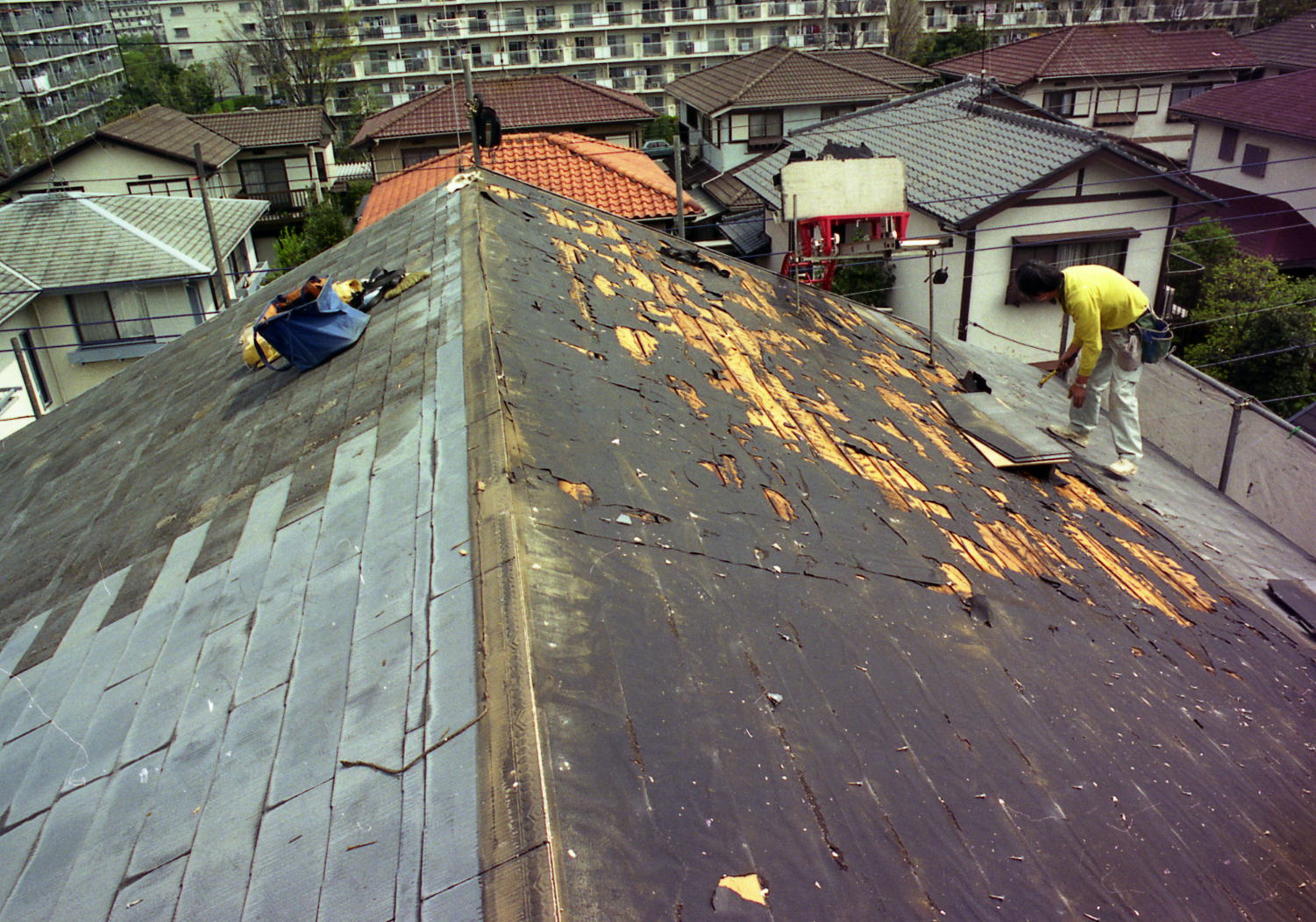 photo5