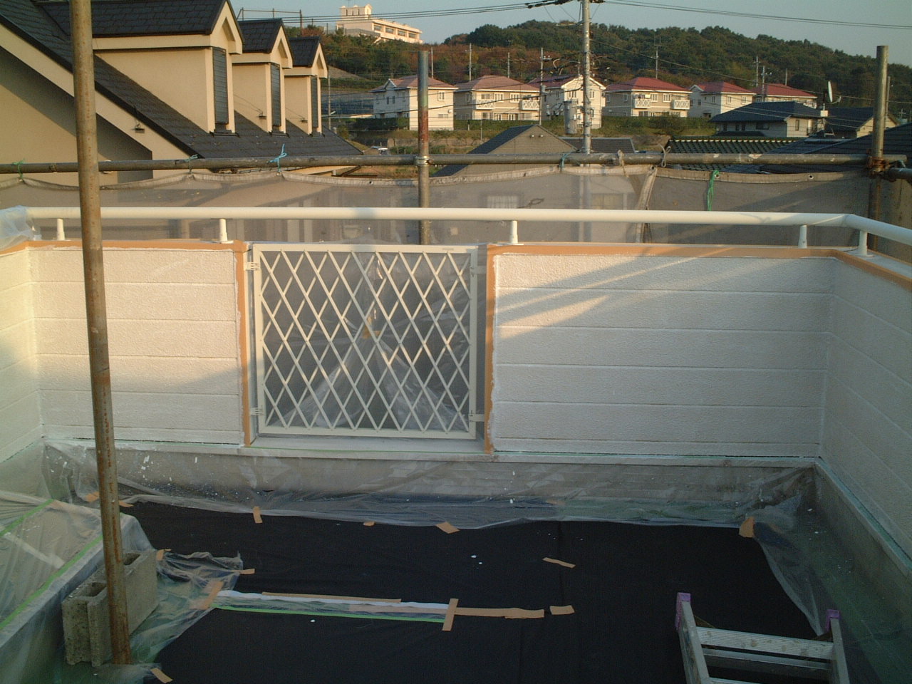 photo5