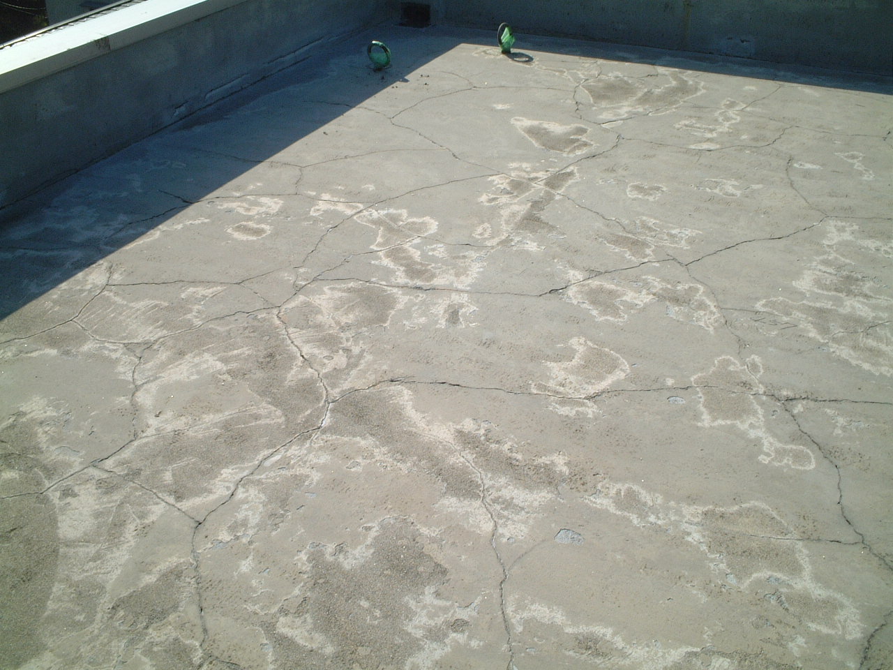 photo1