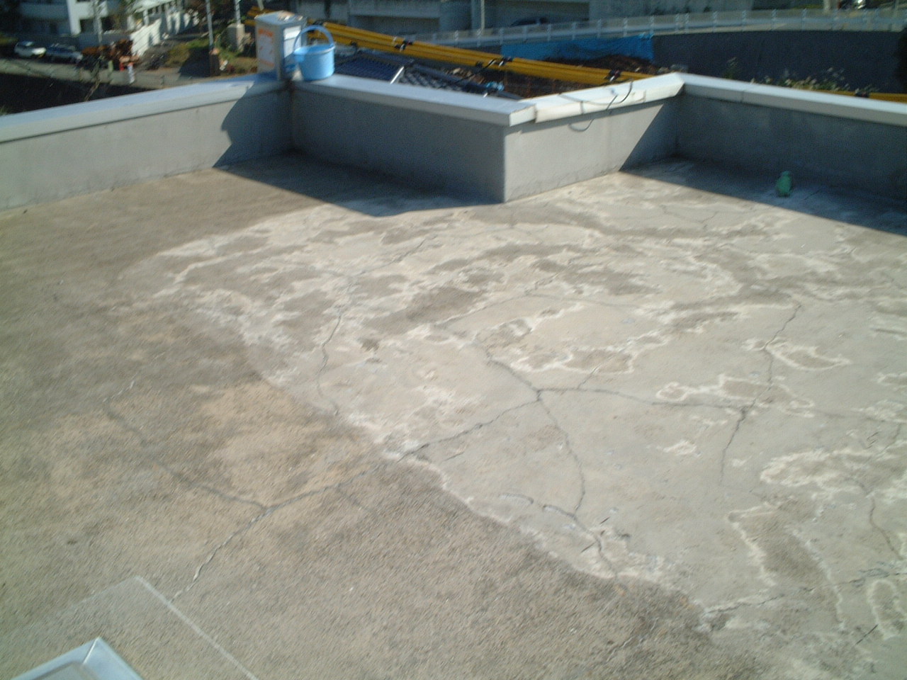 photo3